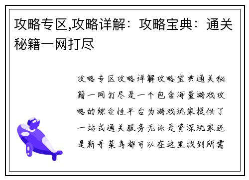 攻略专区,攻略详解：攻略宝典：通关秘籍一网打尽